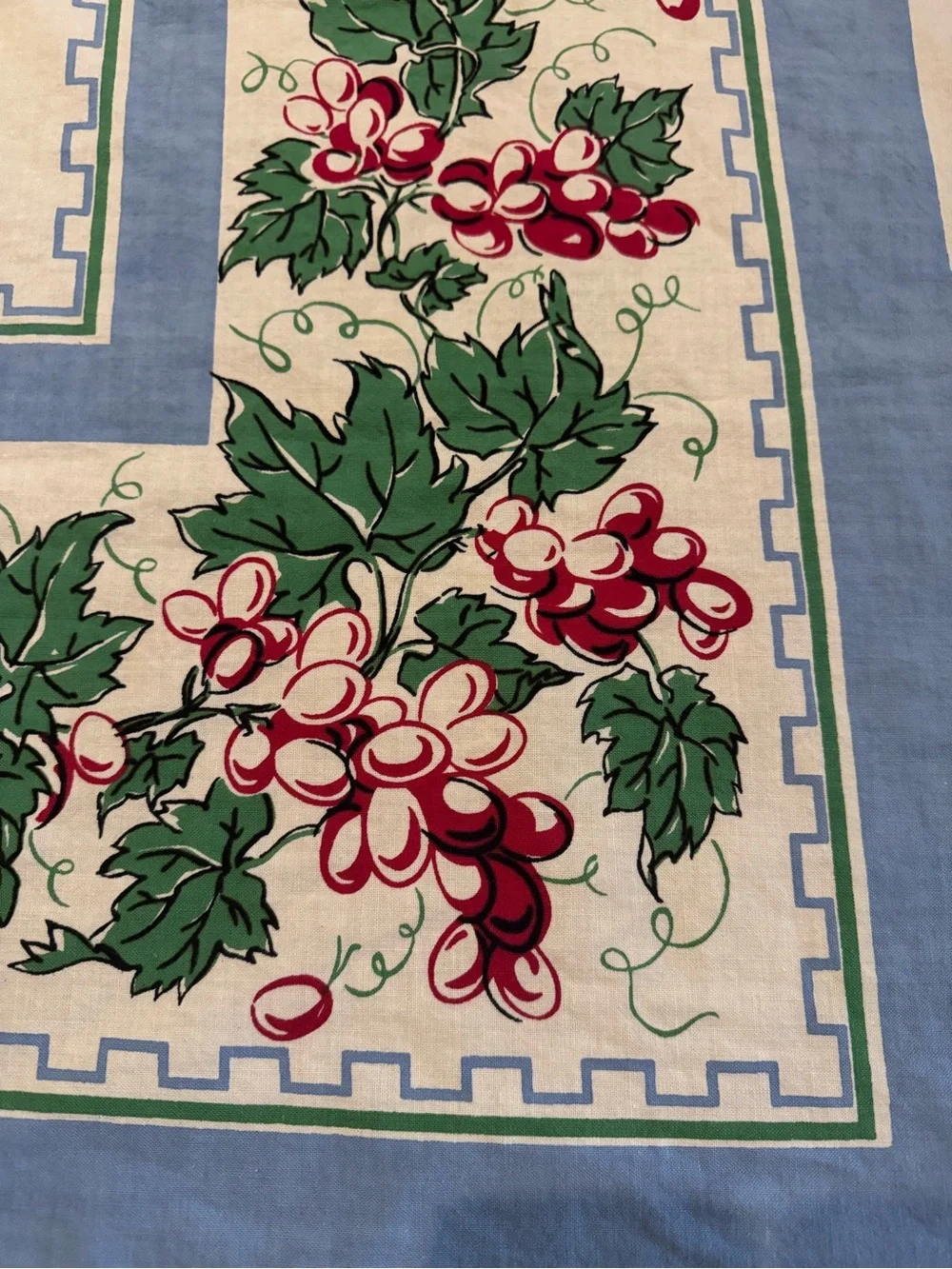Vintage 1940’s-1950’s Cotton Linen Tablecloth with Grapes 28.5“ X 29.5“